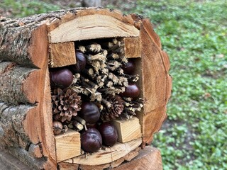 House for insects or bug hotel shelter for various beneficial insects.  Bug hotels offer insects a...