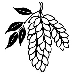 Black Locust line art vector