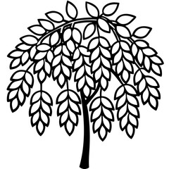 Black Locust line art vector