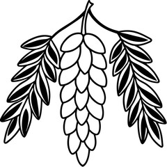Black Locust line art vector