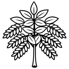 Black Locust line art vector