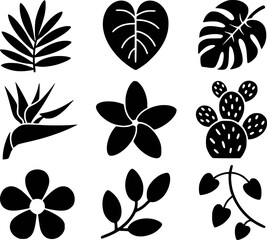 Tropical flora and foliage silhouettes plant leaf