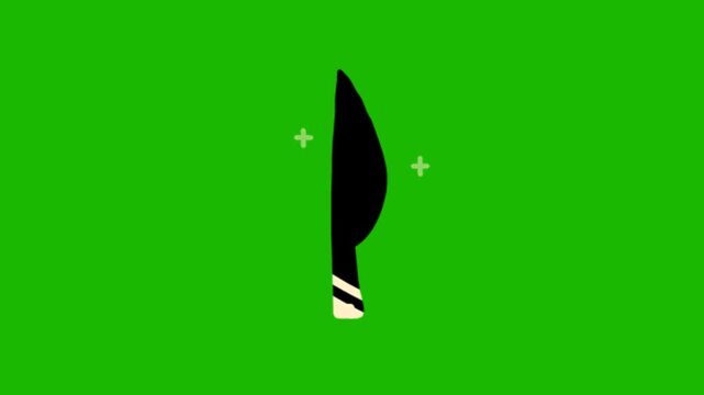 cooking tools on green screen