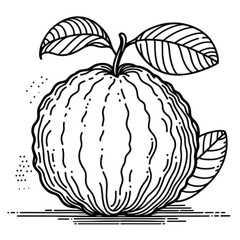 Detailed line art guava fruit with vibrant leaves, perfect for food illustrations and designs.