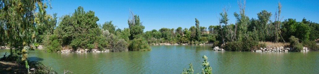 Serene river landscape with lush greenery under a clear blue sky in the afternoon light