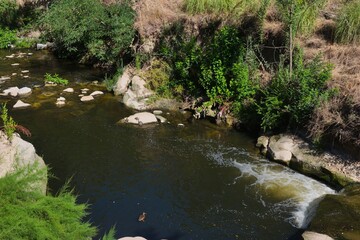 Flowing river meanders through lush greenery under clear blue sky during sunny afternoon in peaceful natural setting