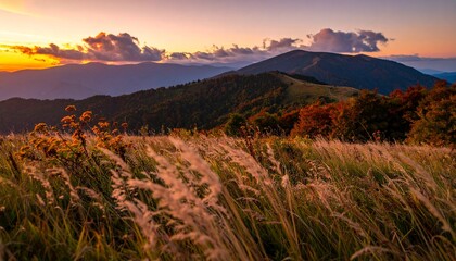 Obraz premium Beautiful meadow and sky autumn sunrise background