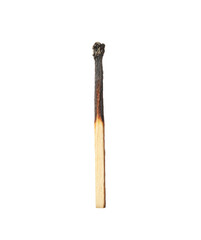 One burnt match isolated on white. Tool for starting fire