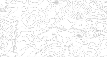 Topographic contours. Black and white seamless design. Majestic tileable isolines pattern. Vector illustration.
