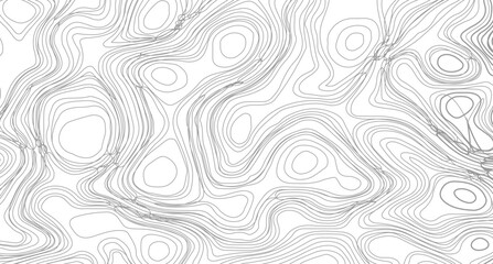 Topography background. Vector banner. Topography background. Topographic contour map. similarcartography illustration. 