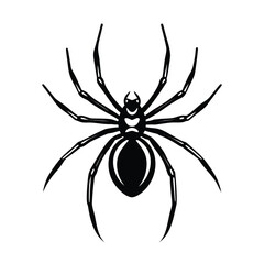 Obraz premium black widow spider dangerous arachnid vector on-white background 