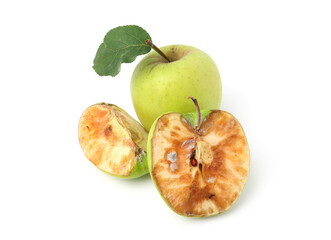 Spoiled and good apples isolated on white