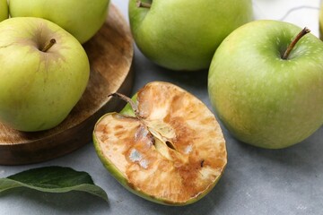 Spoiled apple and good ones on grey table, closeup