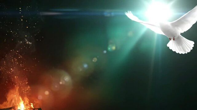 White Dove Soaring from Bright Divine Light Over Blazing Fire with Rising Sparks Symbolizing Holy Spirit Pentecost Religious Christian Theme