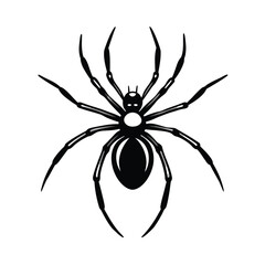black widow spider dangerous arachnid vector on-white background 