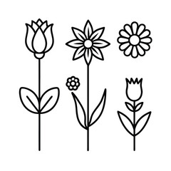 botanical flower icon collection linear tulip rose