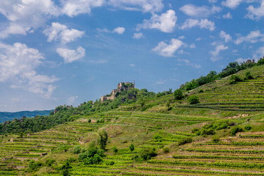 Wachau Valley united with Danube River, vineyards, medieval castles, and charming villages. Scenic hills and ancient architecture blend, creating a timeless UNESCO landscape in Lower Austria