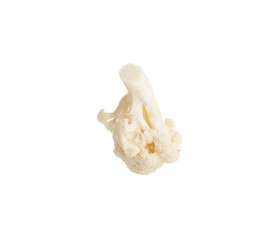One fresh cauliflower floret isolated on white