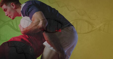 Tackling rugby players in navy-blue and red jerseys in split-color gradient, with white rugby ball