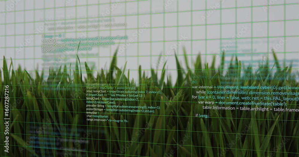 Aufkleber close-up grass blades merging with floating code in blended background, grid overlay