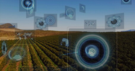 Displaying vineyard rows and trellises stretching to horizon on farmland with HUD overlays
