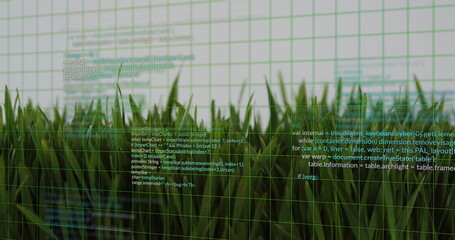 Close-up grass blades merging with floating code in blended background, grid overlay