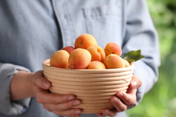 Woman with bowl of fresh ripe apricots outdoors, closeup
