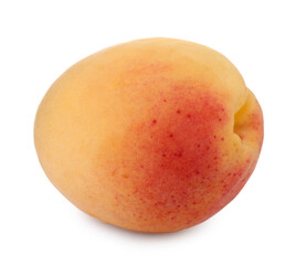 One fresh ripe apricot isolated on white