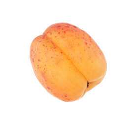 One fresh ripe apricot isolated on white