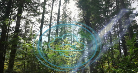 Fototapeta premium Projecting blue circular hologram in forest clearing with lightning streak and canopy sunbeams