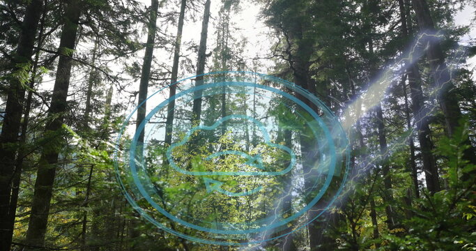 Fototapeta Projecting blue circular hologram in forest clearing with lightning streak and canopy sunbeams