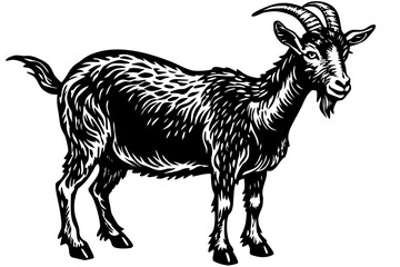 goat vector style