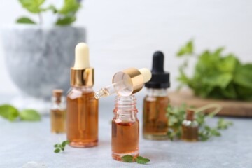 Bottles of aromatic essential oils and herbs on light grey table against white background, closeup