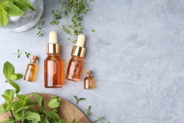 Bottles of aromatic essential oils and herbs on grey table, flat lay. Space for text