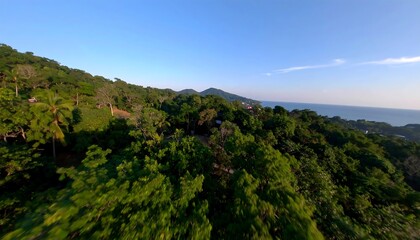 Lush tropical hillside vista with coastal expanse blending nature and tranquility offering an