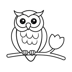 owl on white background