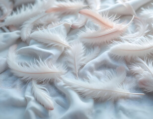 white feathers background