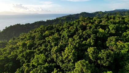 Lush tropical rainforest landscape, showcasing vibrant biodiversity near coastal waters