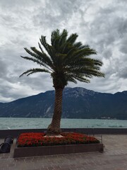 Gardasee
