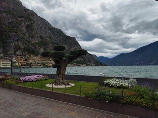 Gardasee