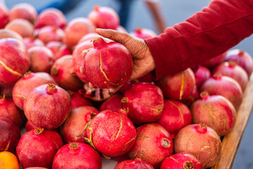 A close-up of a person's hand selecting a vibrant red pomegranate from a neatly arranged fruit...