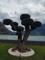 Gardasee