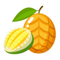 vector illustration of mango slice