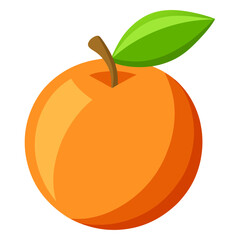 vector illustration of an orange