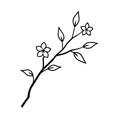 delicate pink blossom branch spring floral