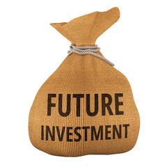Future Investment, money bag. 3D rendering
