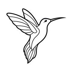 elegant hummingbird line art natures grace