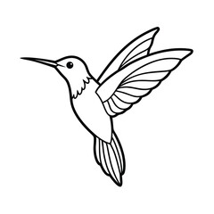 elegant hummingbird line art natures grace
