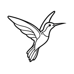 elegant hummingbird line art natures grace
