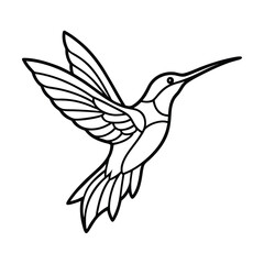 elegant hummingbird line art natures grace